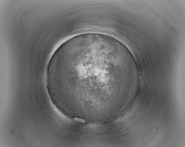 X0000112091531200908181253