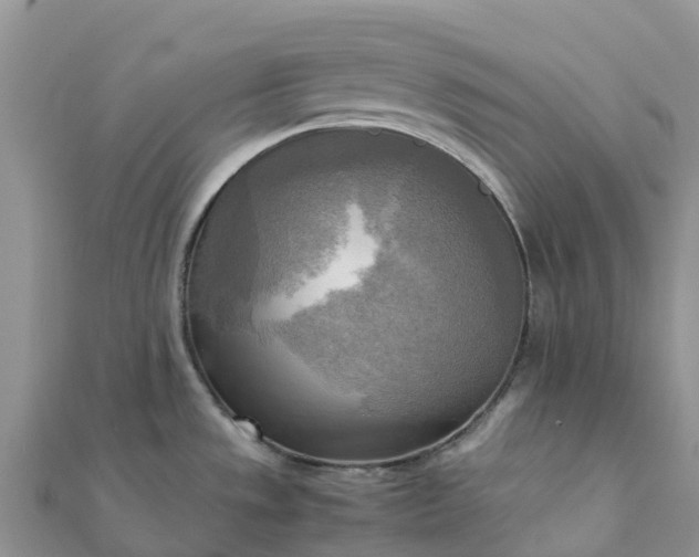 X0000112091533200908181253