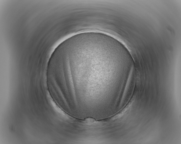 X0000112091534200908181253