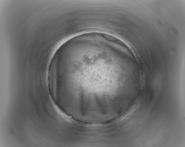 X0000112091535200908181253