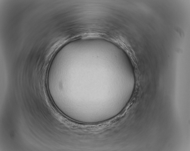 X0000112090001200908251137