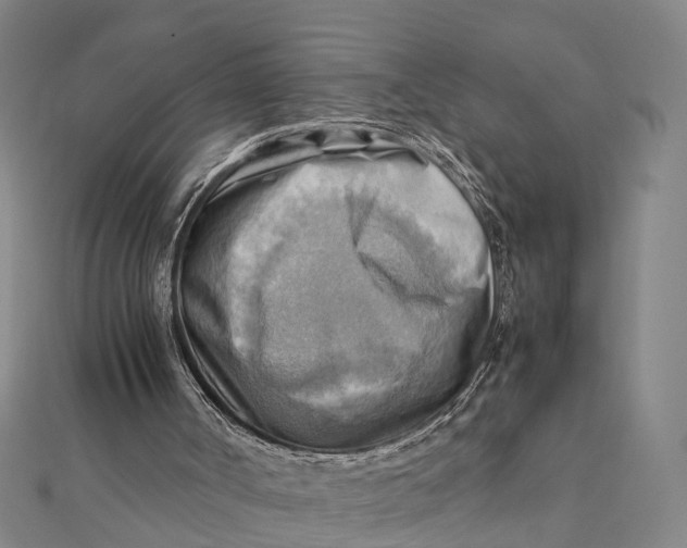 X0000112090002200908251137