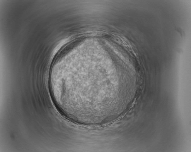 X0000112090003200908251137