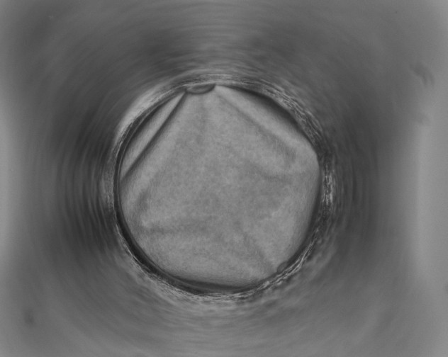X0000112090004200908251137