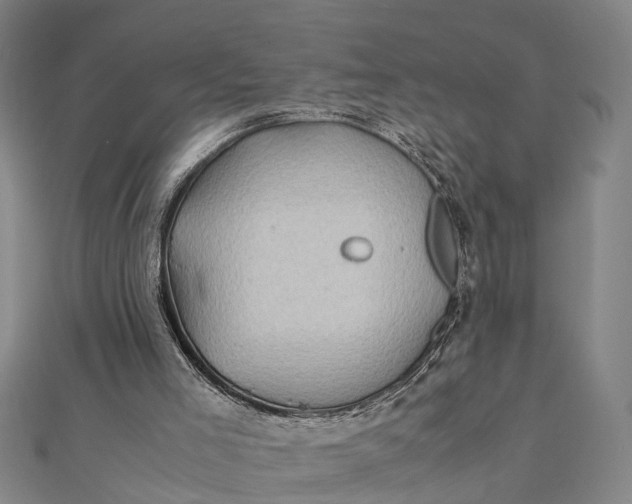 X0000112090005200908251137