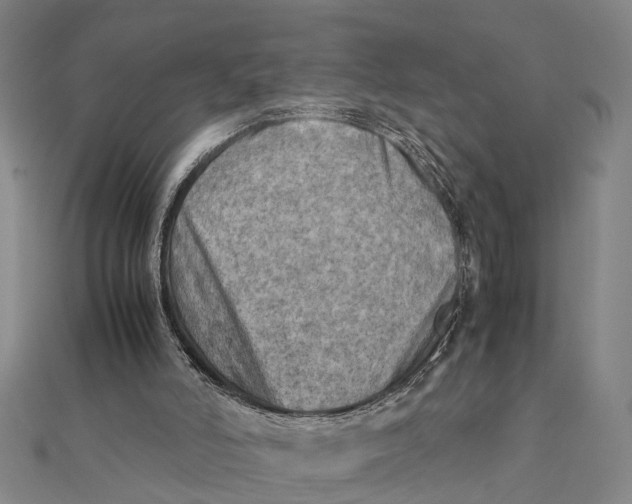 X0000112090006200908251137