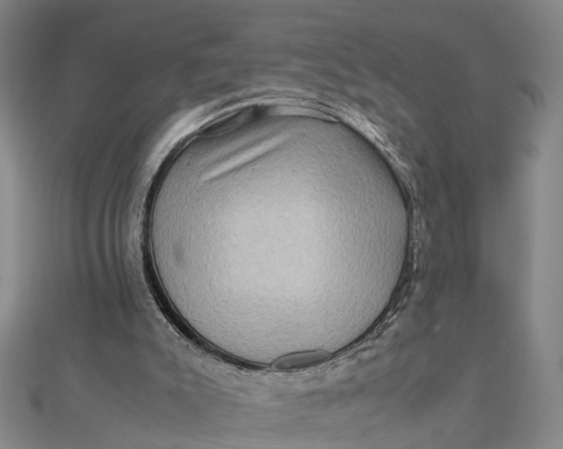 X0000112090007200908251137
