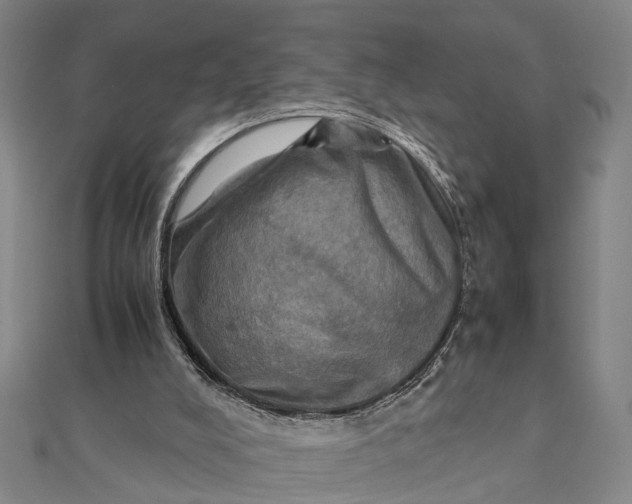 X0000112090008200908251137