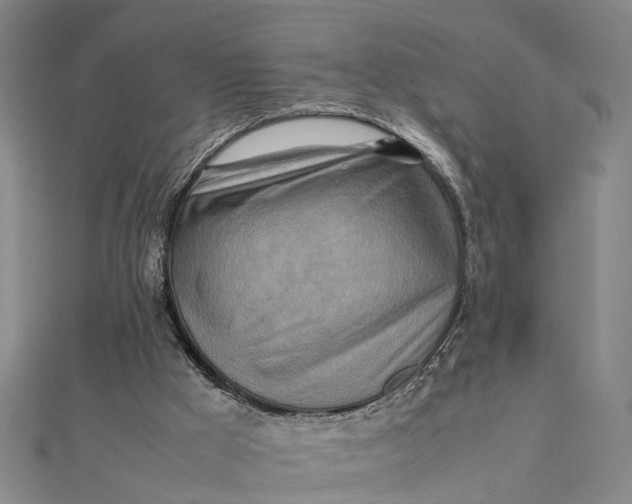 X0000112090009200908251137