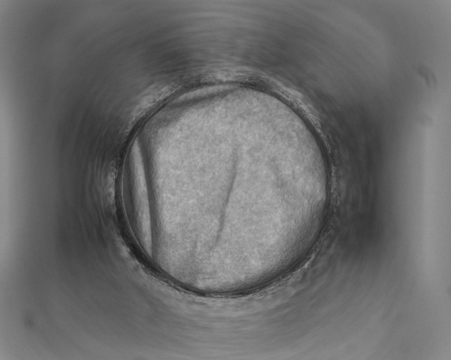 X0000112090010200908251137