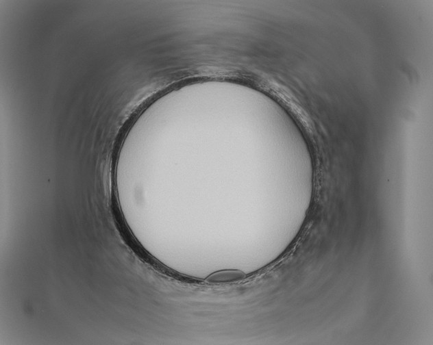 X0000112090011200908251137