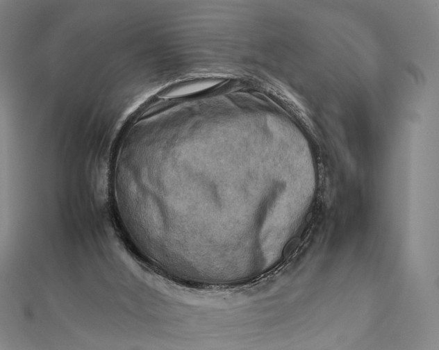 X0000112090012200908251137