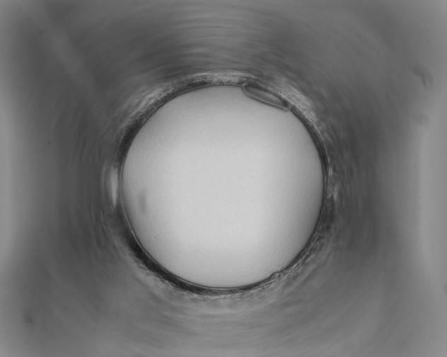 X0000112090013200908251137