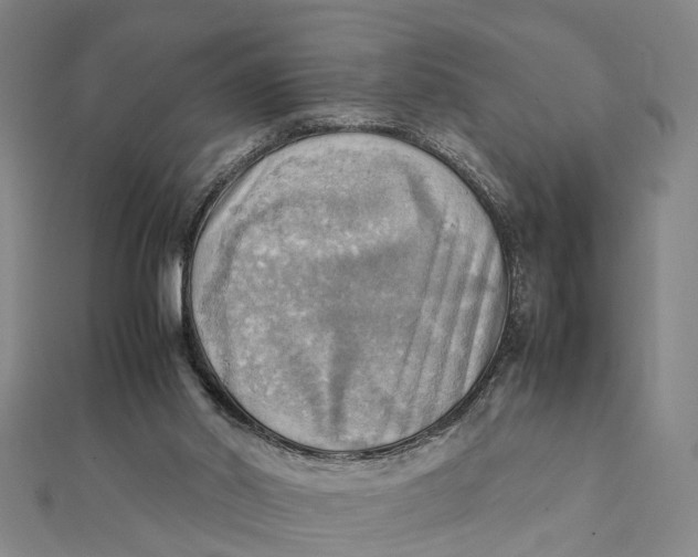 X0000112090014200908251137