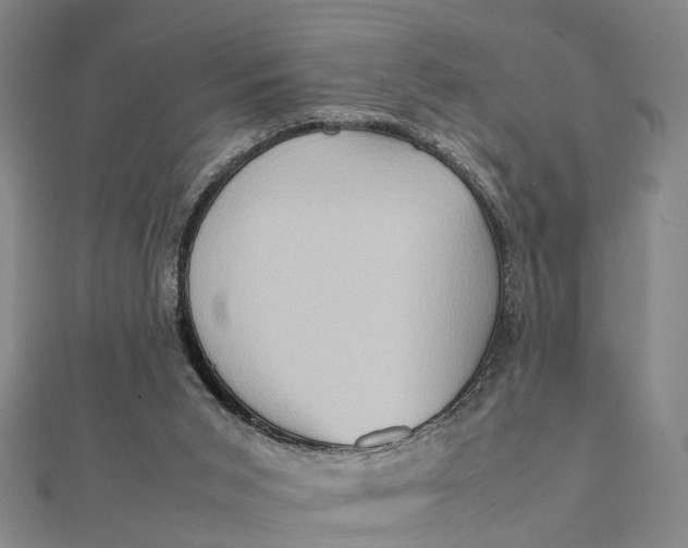 X0000112090015200908251137