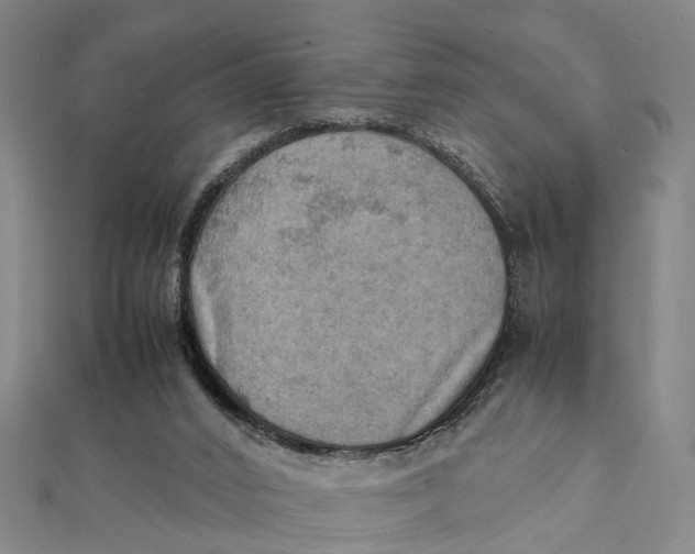 X0000112090016200908251137