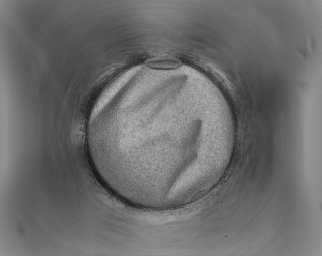 X0000112090017200908251137