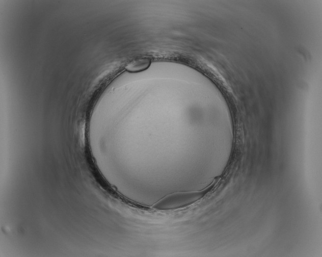 X0000112090019200908251137