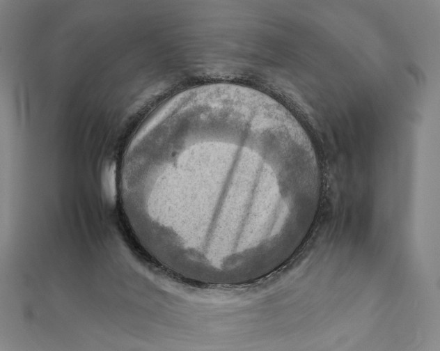 X0000112090020200908251137