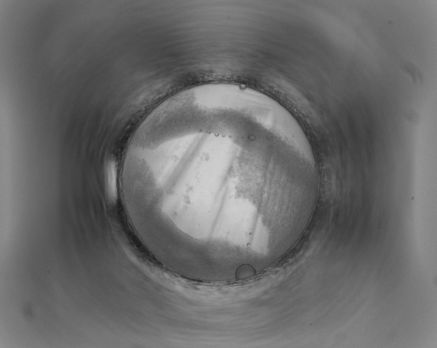 X0000112090022200908251137
