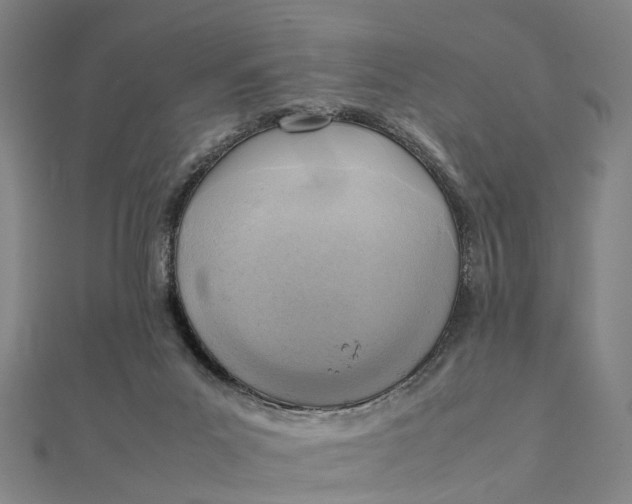 X0000112090023200908251137