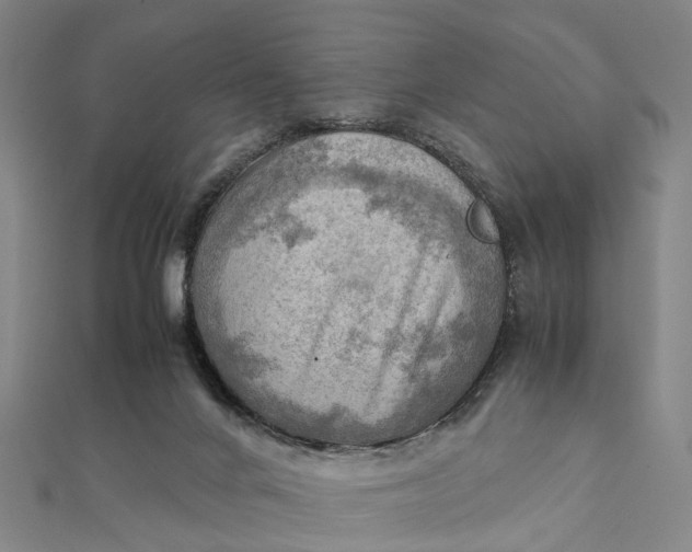 X0000112090024200908251137
