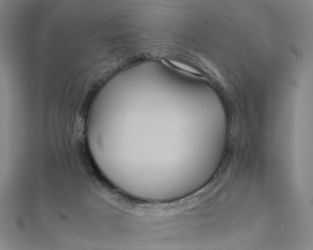 X0000112090025200908251137