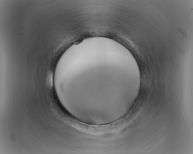 X0000112090027200908251137