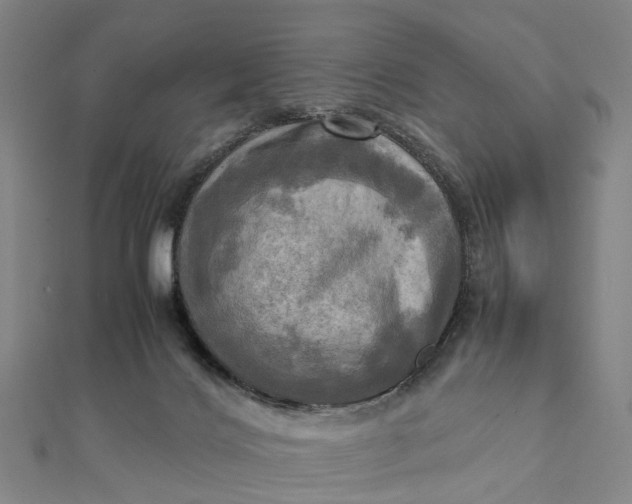 X0000112090028200908251137