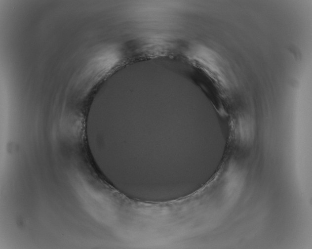 X0000112090029200908251137