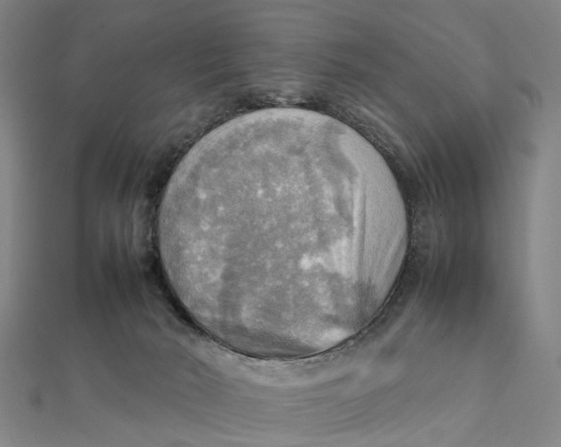 X0000112090030200908251137