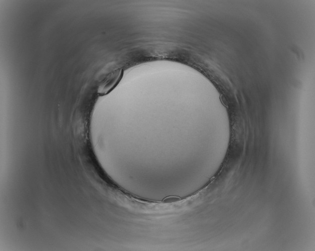 X0000112090031200908251137