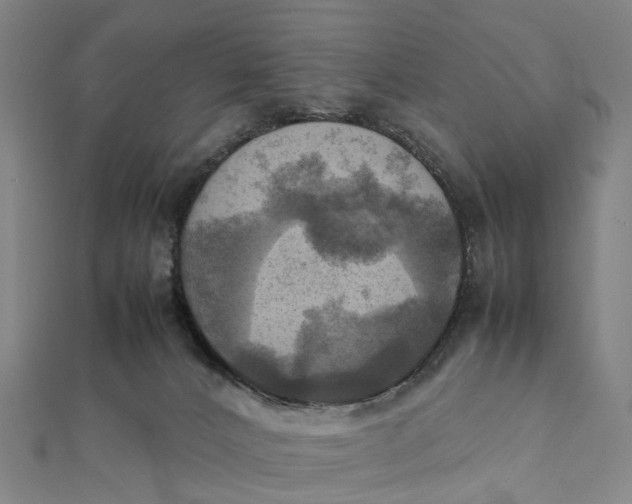X0000112090032200908251137