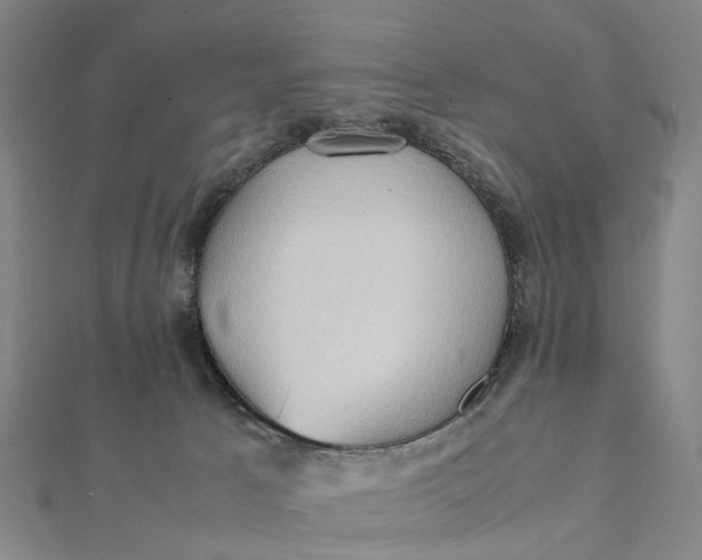 X0000112090033200908251137