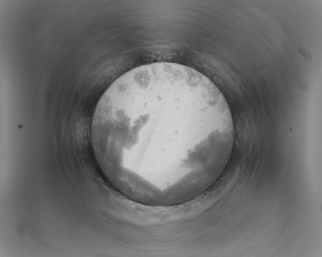 X0000112090034200908251137