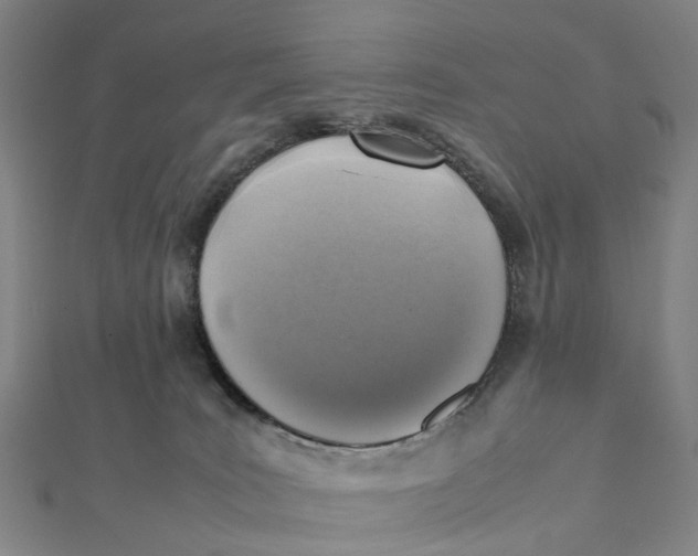 X0000112090035200908251137