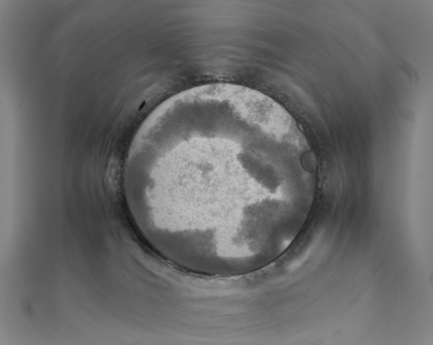 X0000112090036200908251137