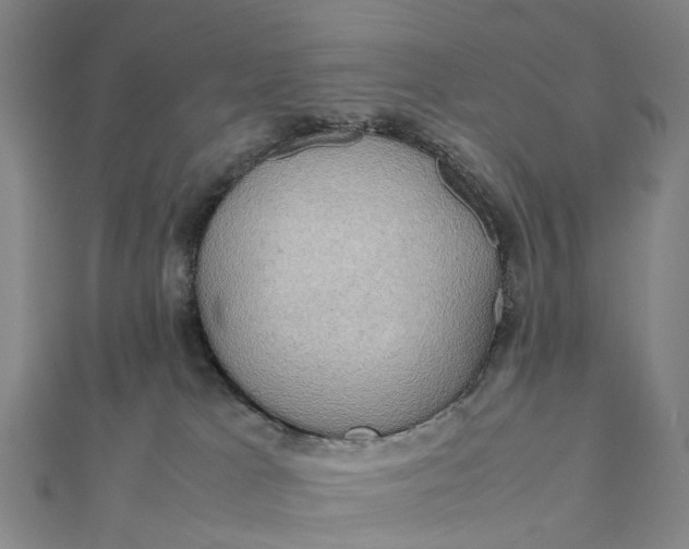 X0000112090037200908251137