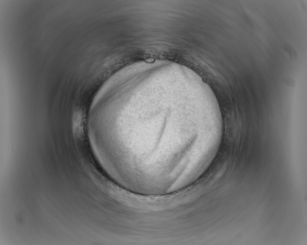 X0000112090038200908251137
