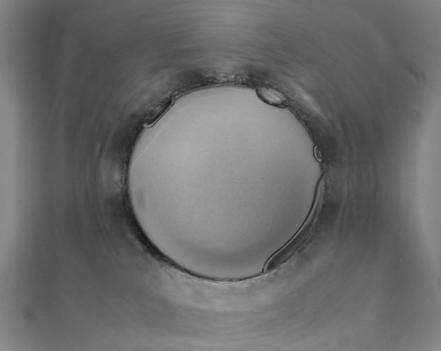 X0000112090039200908251137