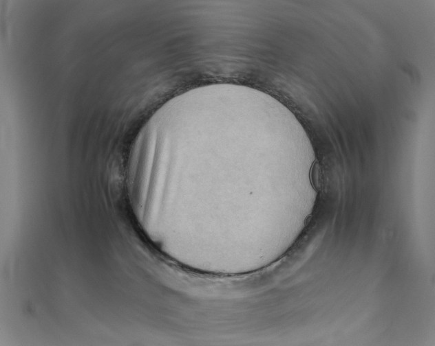 X0000112090040200908251137