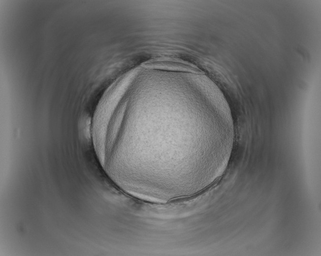 X0000112090041200908251137
