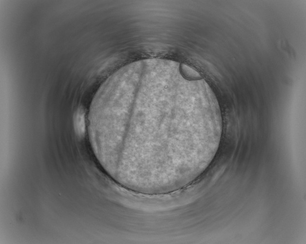 X0000112090042200908251137