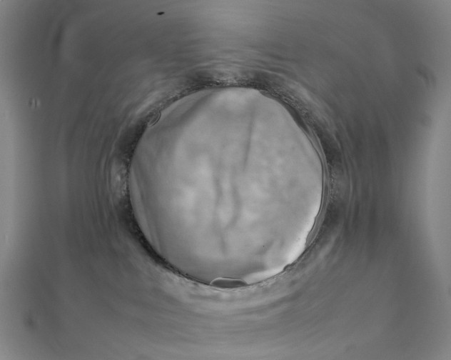 X0000112090043200908251137