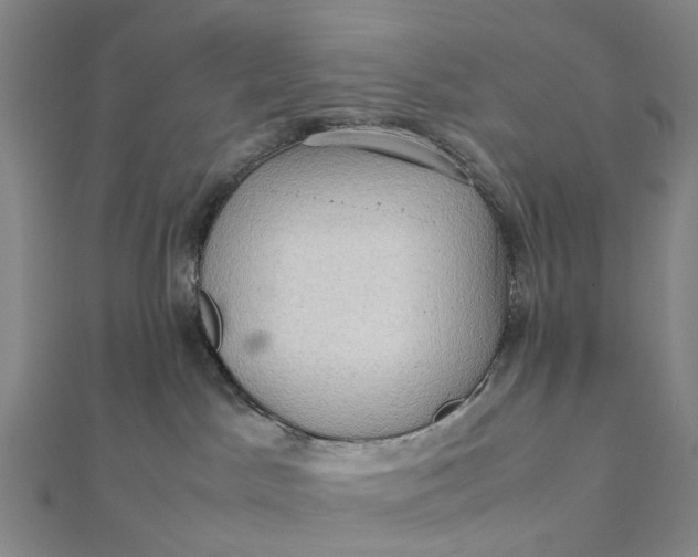 X0000112090045200908251137