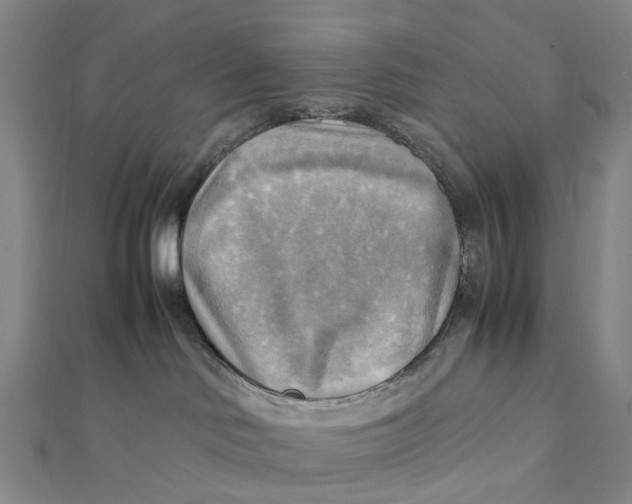 X0000112090046200908251136