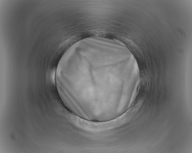 X0000112090047200908251136