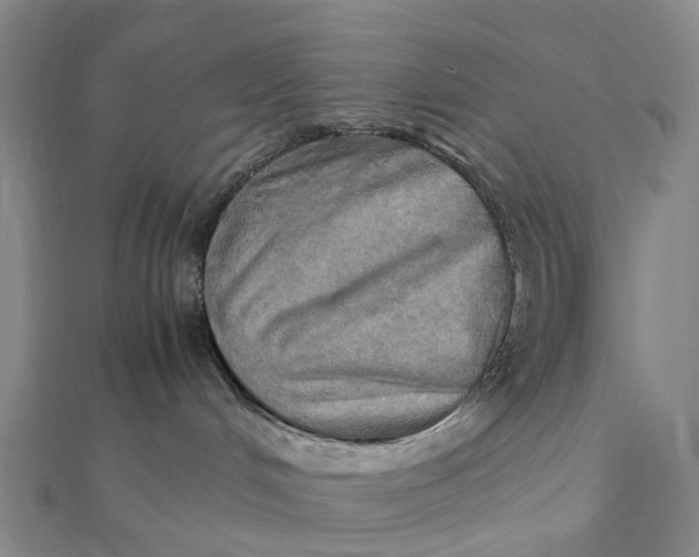 X0000112090048200908251136