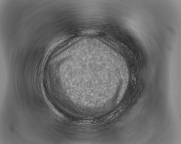X0000112090049200908251136