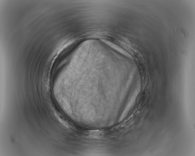 X0000112090050200908251136